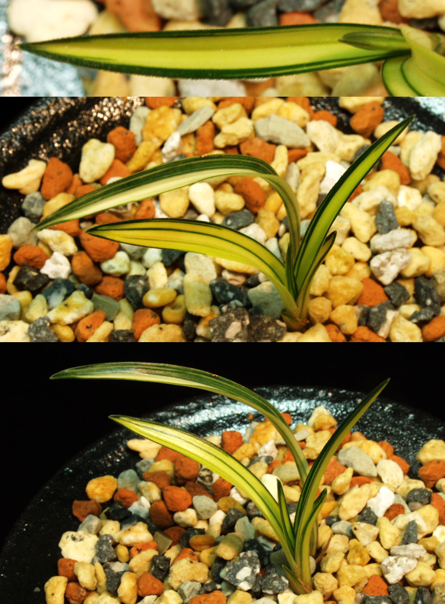 ������ ū������ �� �� �ֽ��ϴ�.