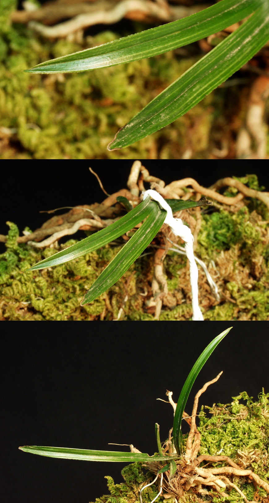 ������ ū������ �� �� �ֽ��ϴ�.