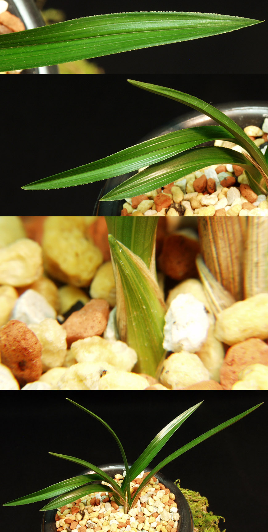 ������ ū������ �� �� �ֽ��ϴ�.