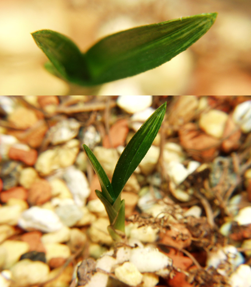 ������ ū������ �� �� �ֽ��ϴ�.