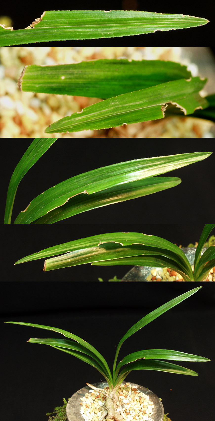 ������ ū������ �� �� �ֽ��ϴ�.