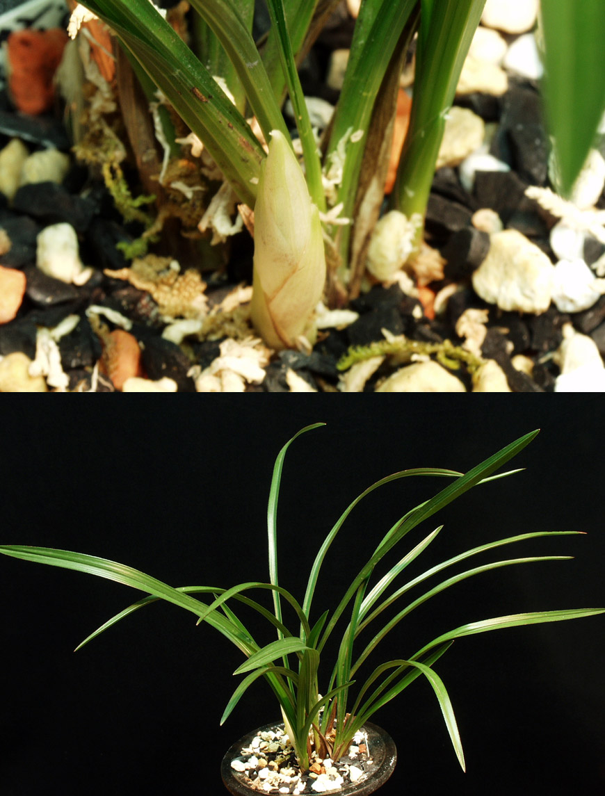 ������ ū������ �� �� �ֽ��ϴ�.