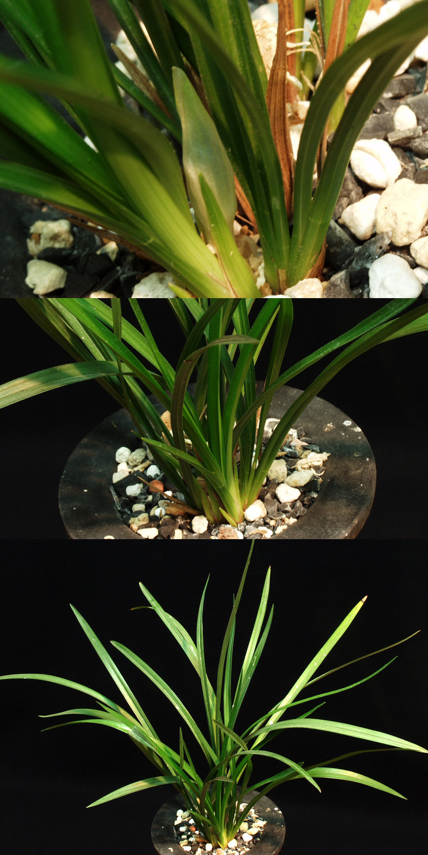 ������ ū������ �� �� �ֽ��ϴ�.