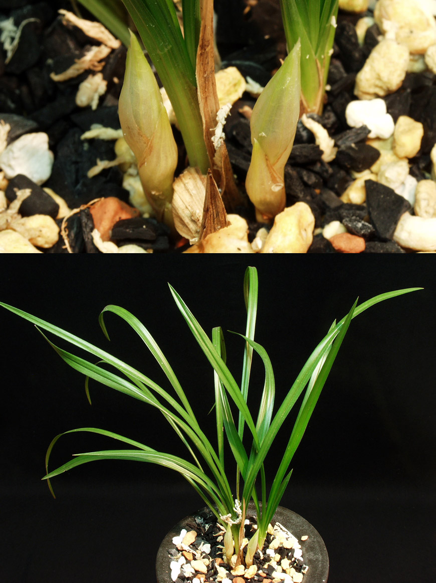 ������ ū������ �� �� �ֽ��ϴ�.