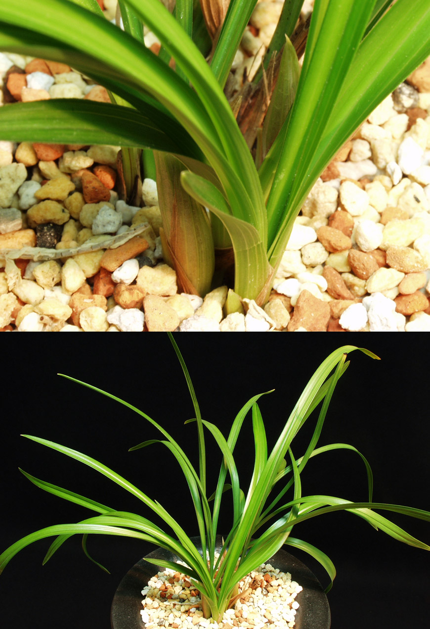 ������ ū������ �� �� �ֽ��ϴ�.