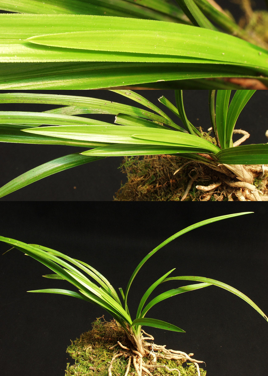 ������ ū������ �� �� �ֽ��ϴ�.