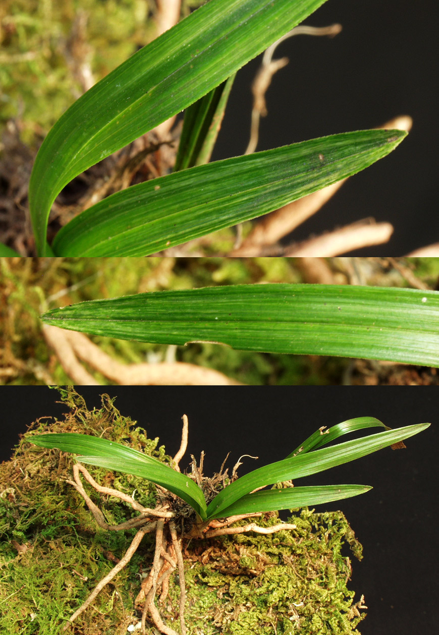 ������ ū������ �� �� �ֽ��ϴ�.