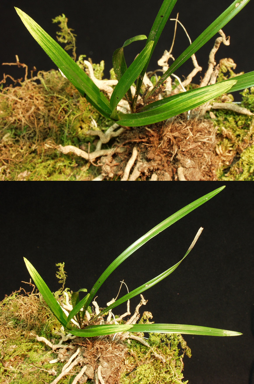 ������ ū������ �� �� �ֽ��ϴ�.