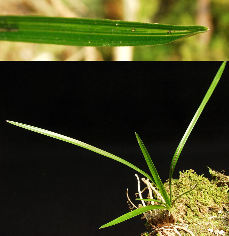 ������ ū������ �� �� �ֽ��ϴ�.