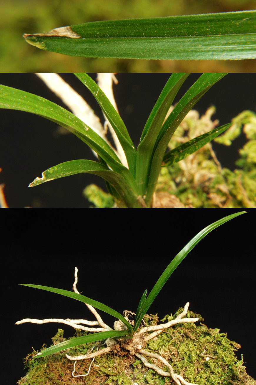 ������ ū������ �� �� �ֽ��ϴ�.