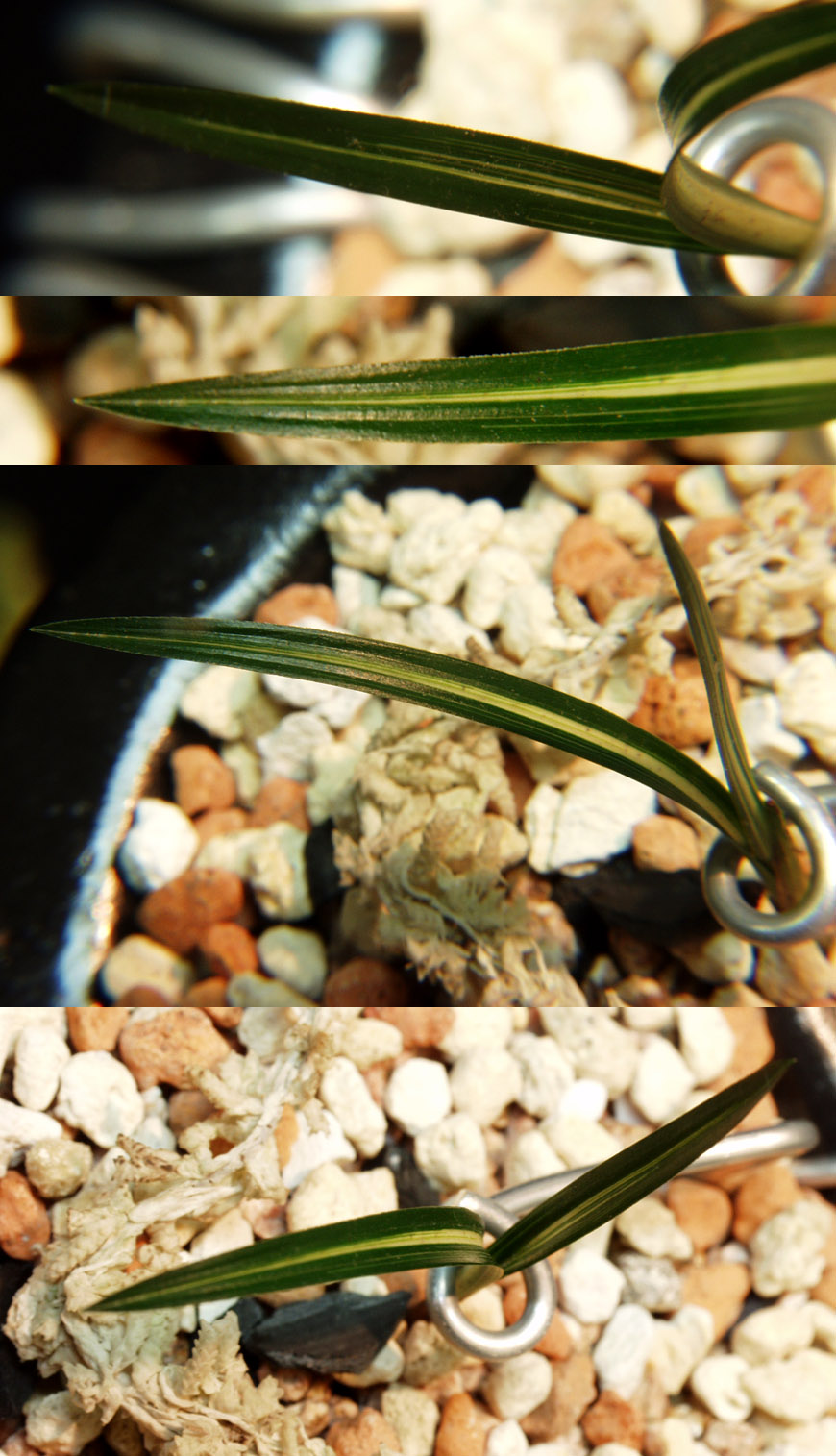 ������ ū������ �� �� �ֽ��ϴ�.