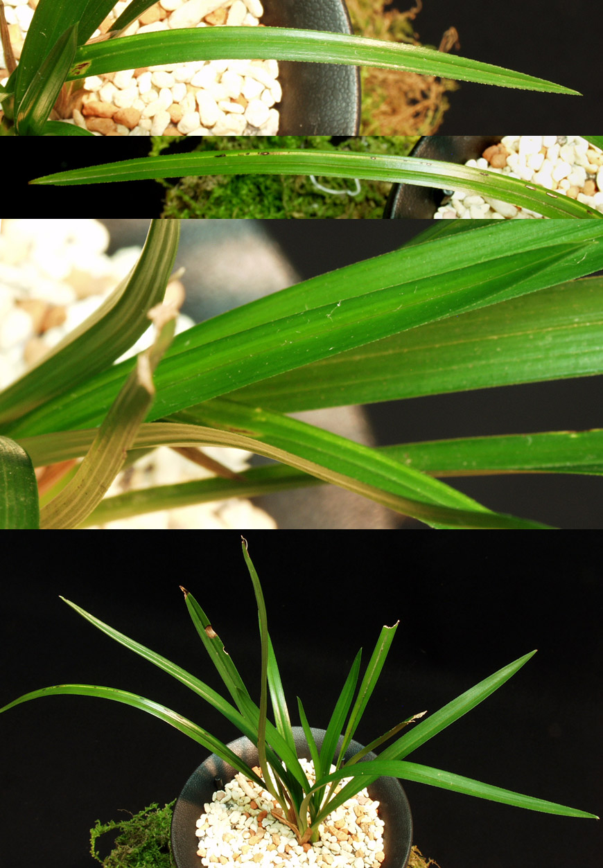 ������ ū������ �� �� �ֽ��ϴ�.