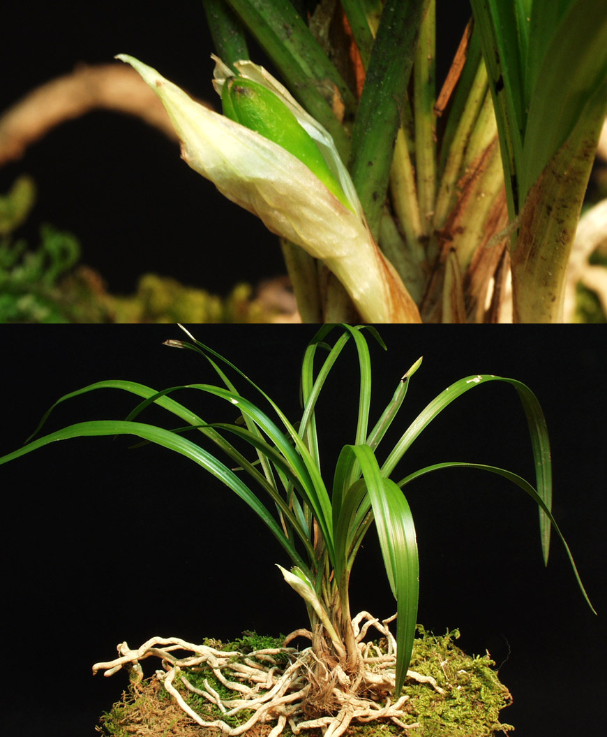 ������ ū������ �� �� �ֽ��ϴ�.