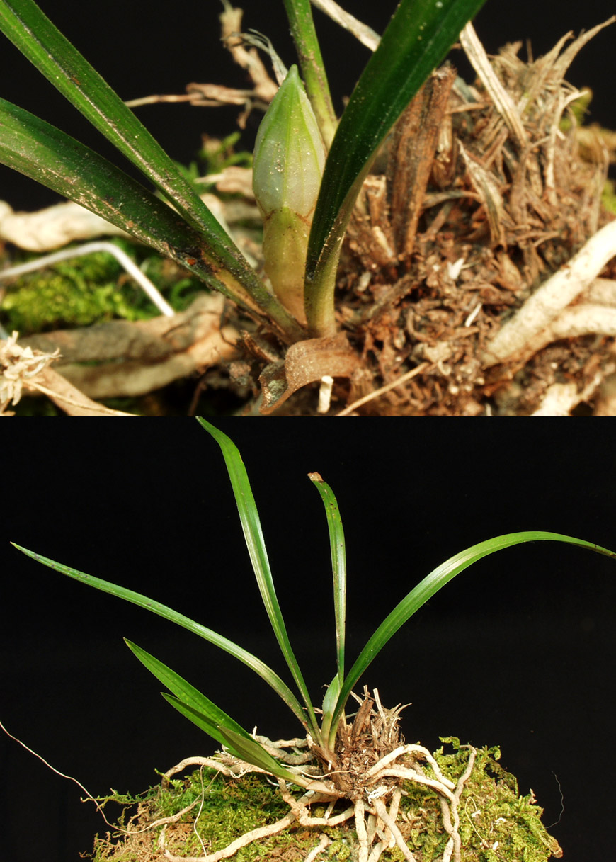 ������ ū������ �� �� �ֽ��ϴ�.