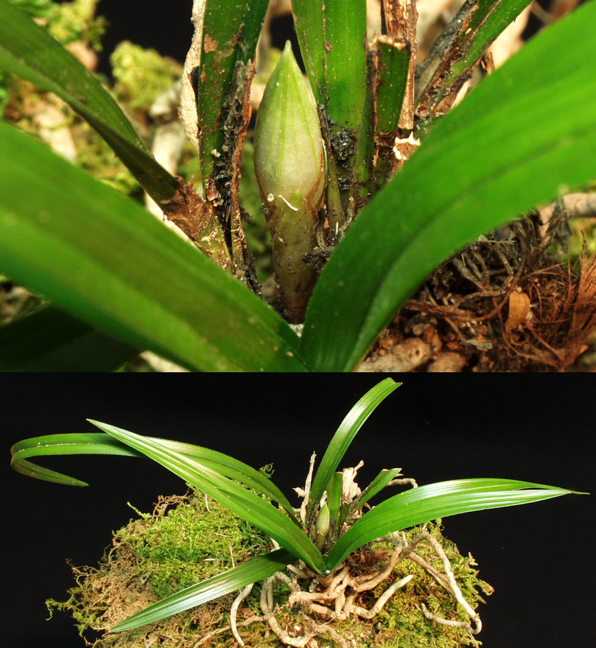 ������ ū������ �� �� �ֽ��ϴ�.