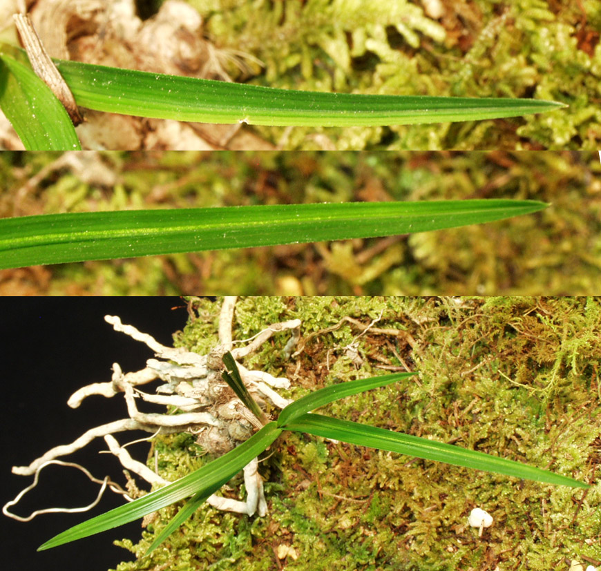 ������ ū������ �� �� �ֽ��ϴ�.