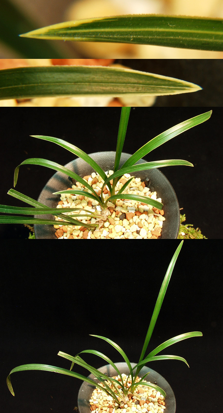 ������ ū������ �� �� �ֽ��ϴ�.