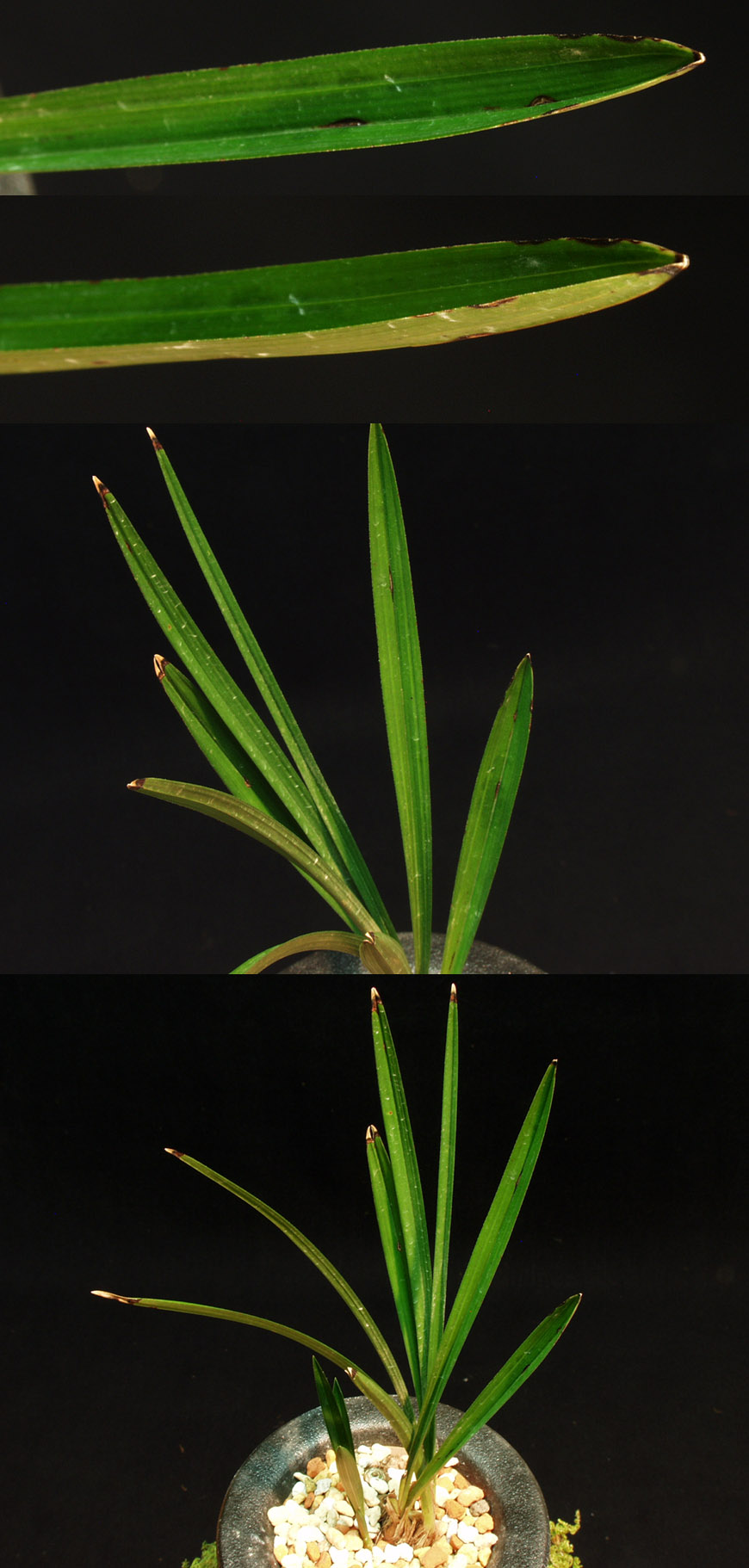 ������ ū������ �� �� �ֽ��ϴ�.