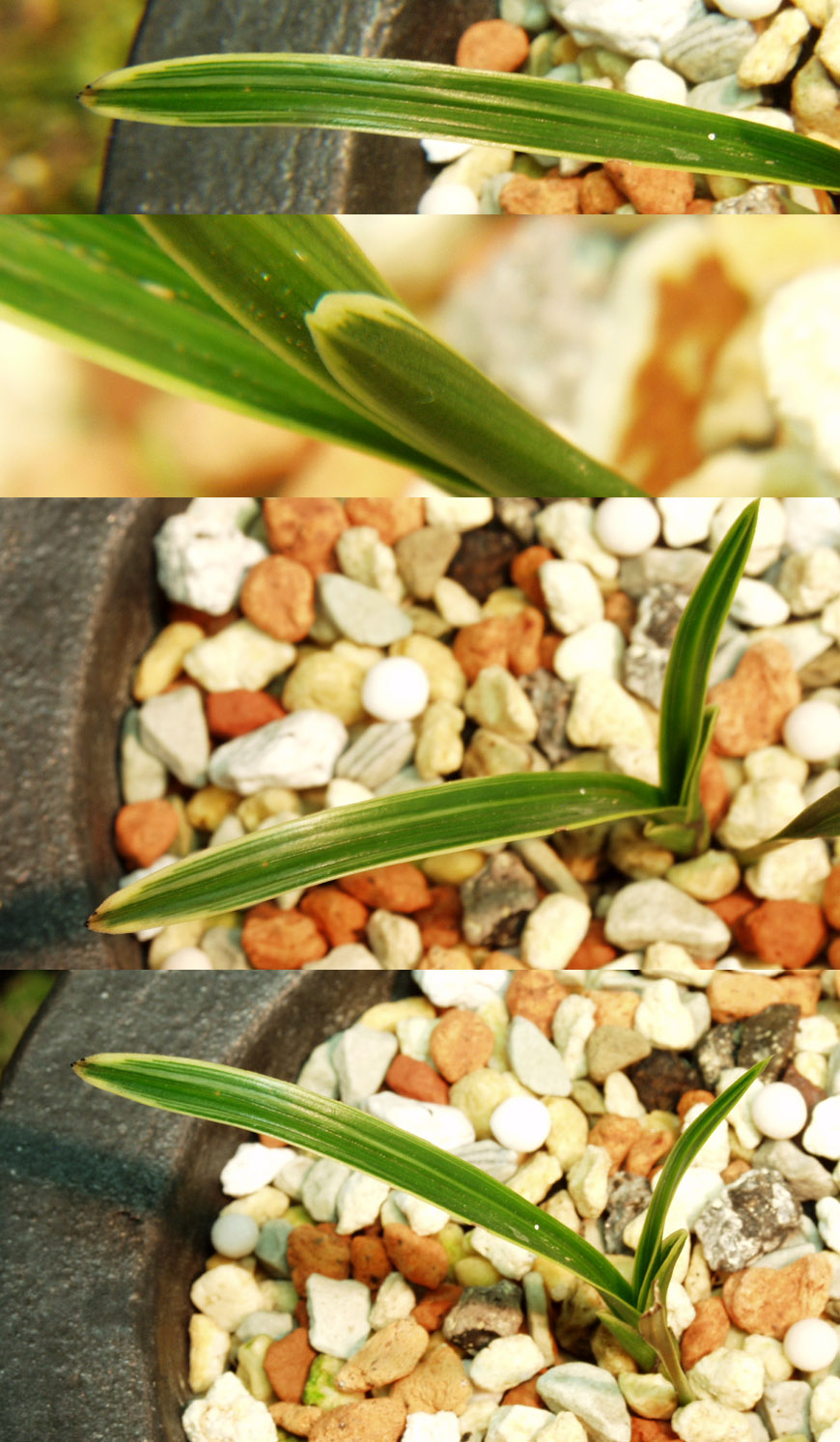 ������ ū������ �� �� �ֽ��ϴ�.