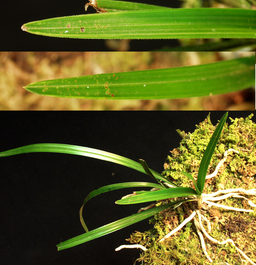 ������ ū������ �� �� �ֽ��ϴ�.