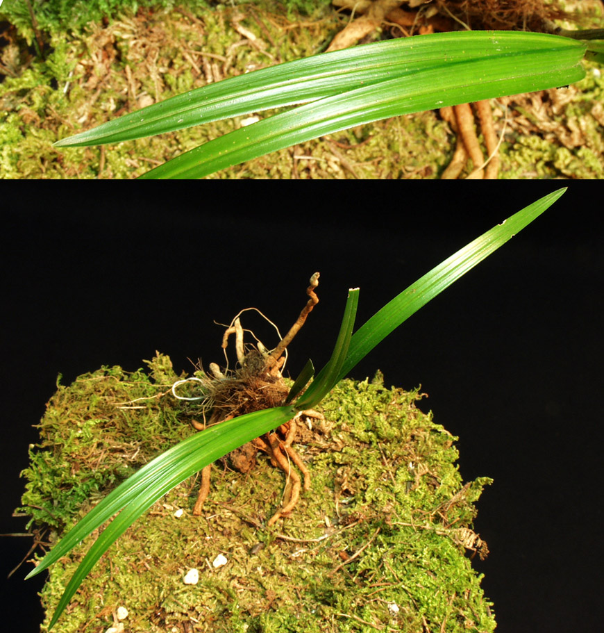 ������ ū������ �� �� �ֽ��ϴ�.