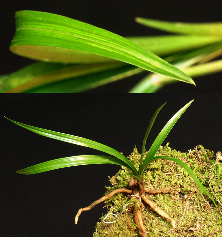 ������ ū������ �� �� �ֽ��ϴ�.