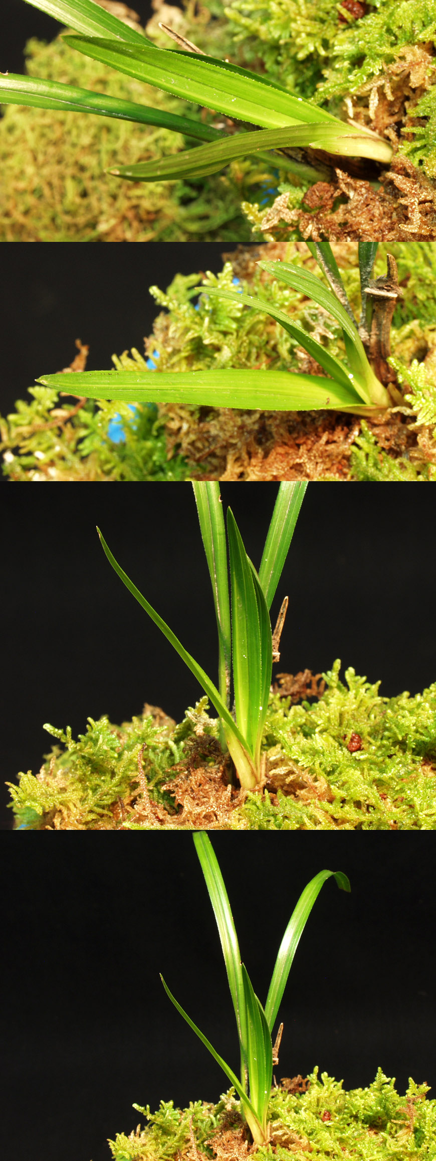 ������ ū������ �� �� �ֽ��ϴ�.