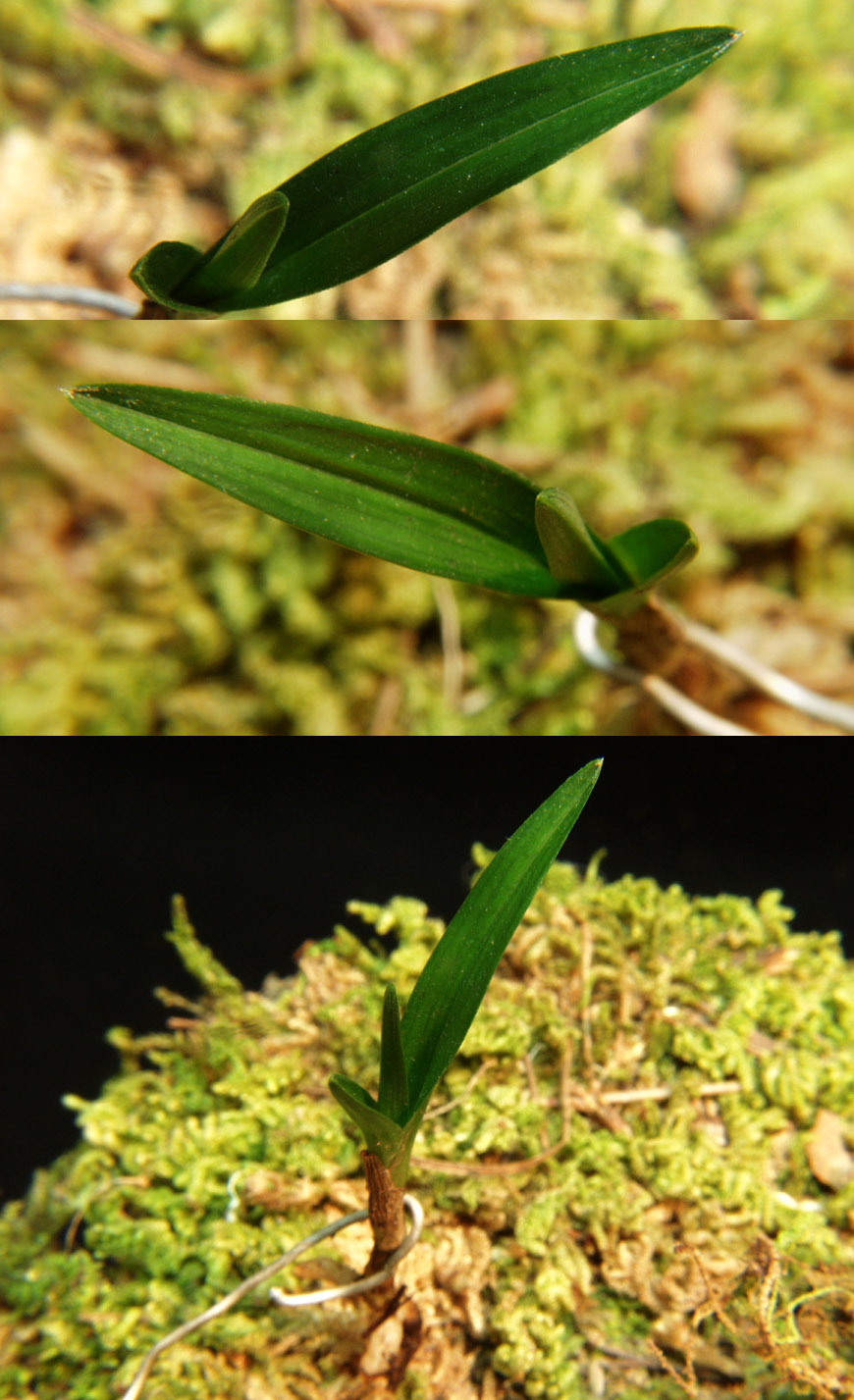 ������ ū������ �� �� �ֽ��ϴ�.