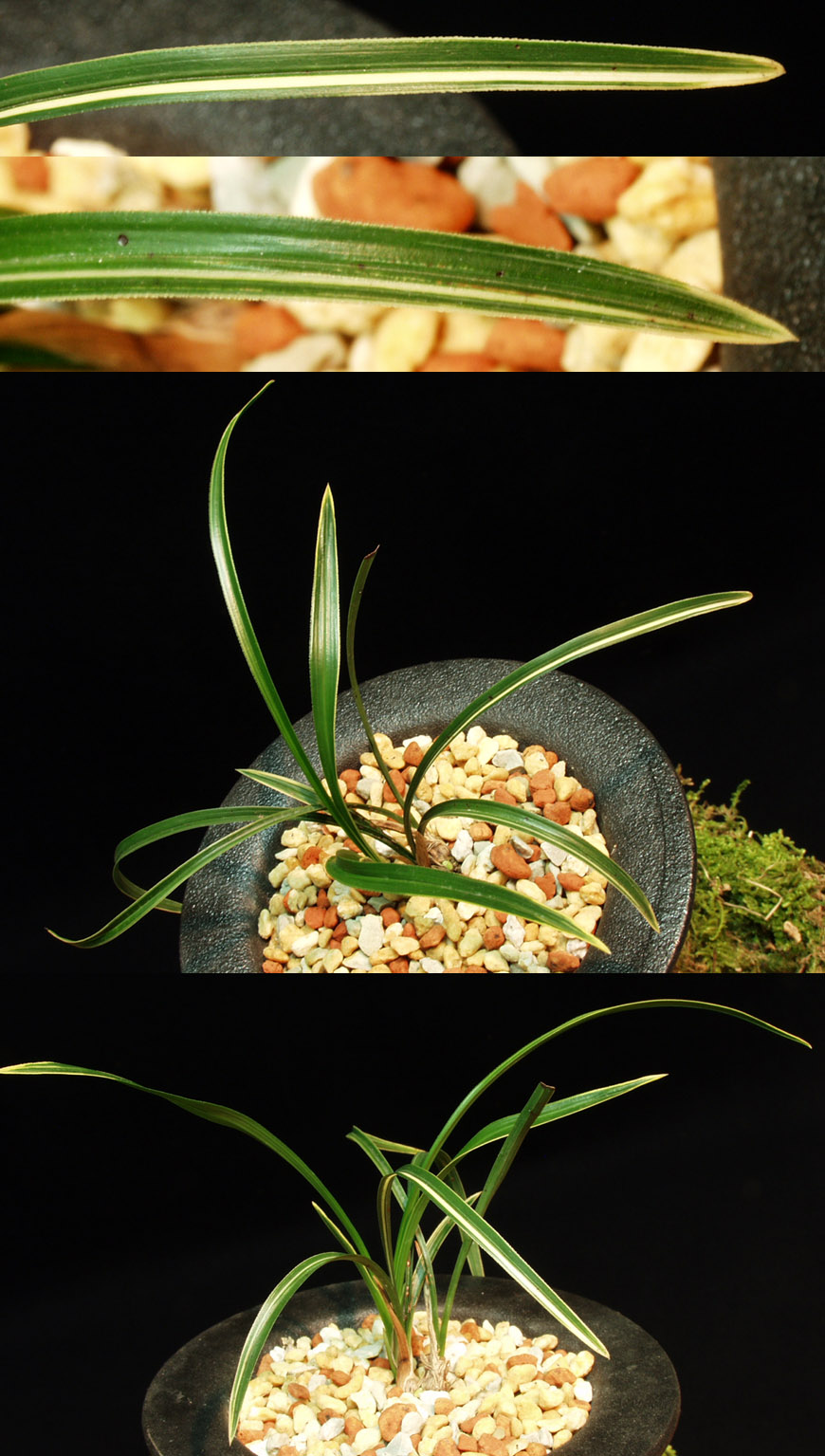 ������ ū������ �� �� �ֽ��ϴ�.