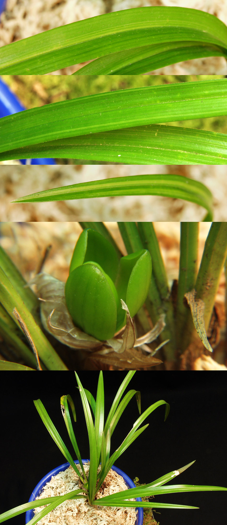 ������ ū������ �� �� �ֽ��ϴ�.