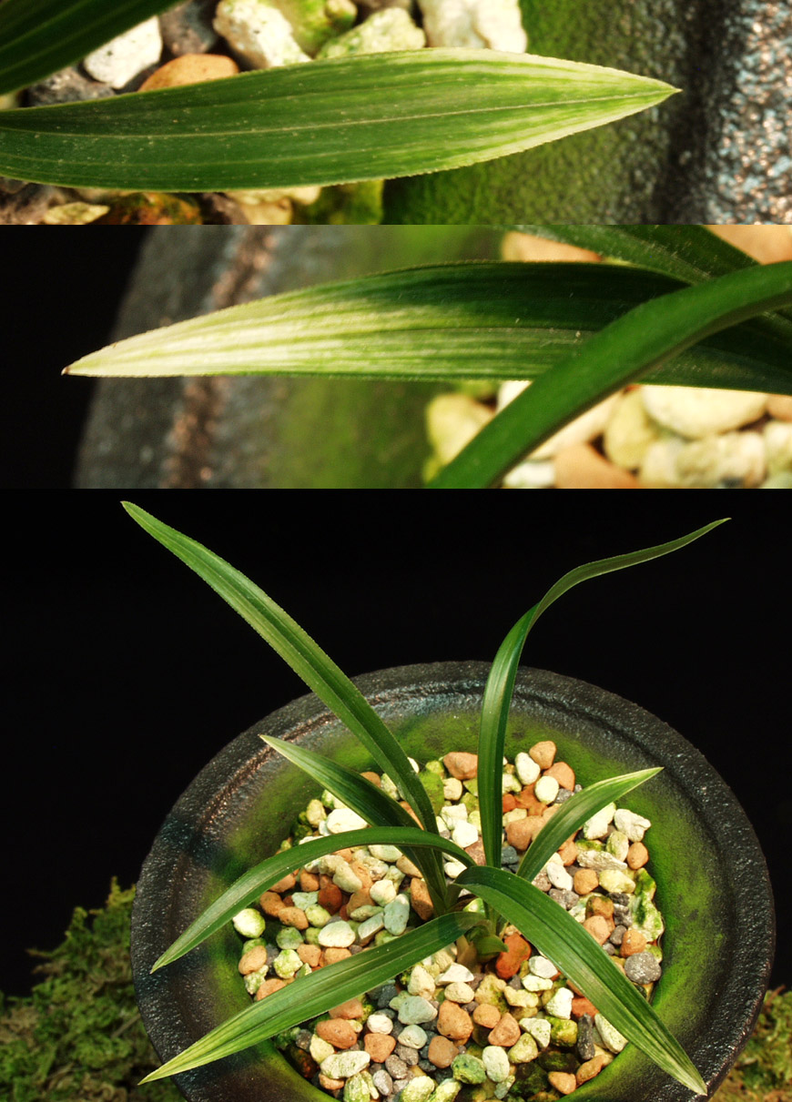 ������ ū������ �� �� �ֽ��ϴ�.