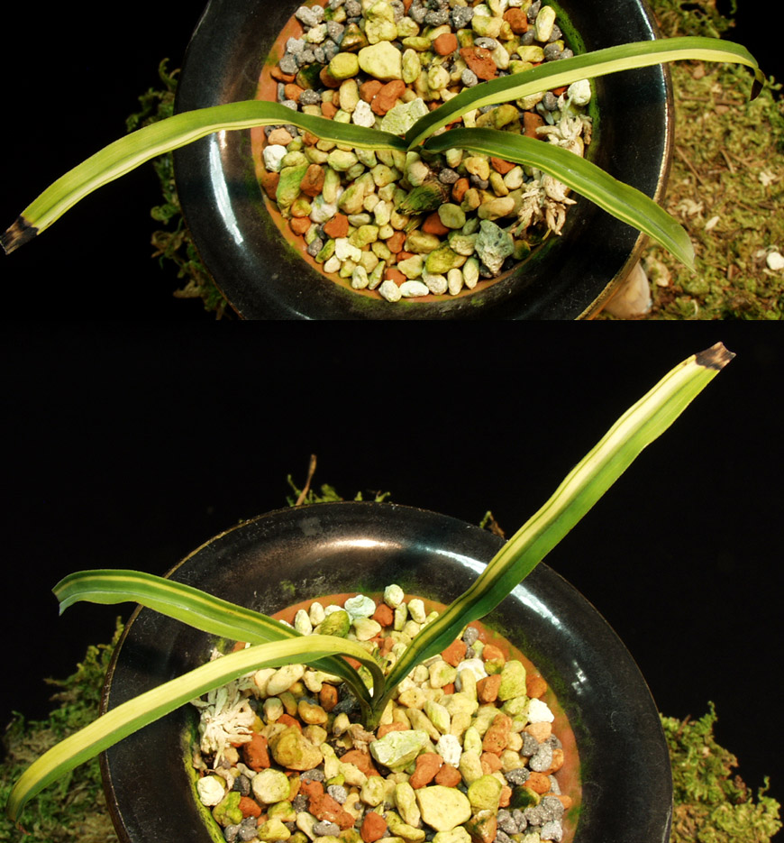 ������ ū������ �� �� �ֽ��ϴ�.