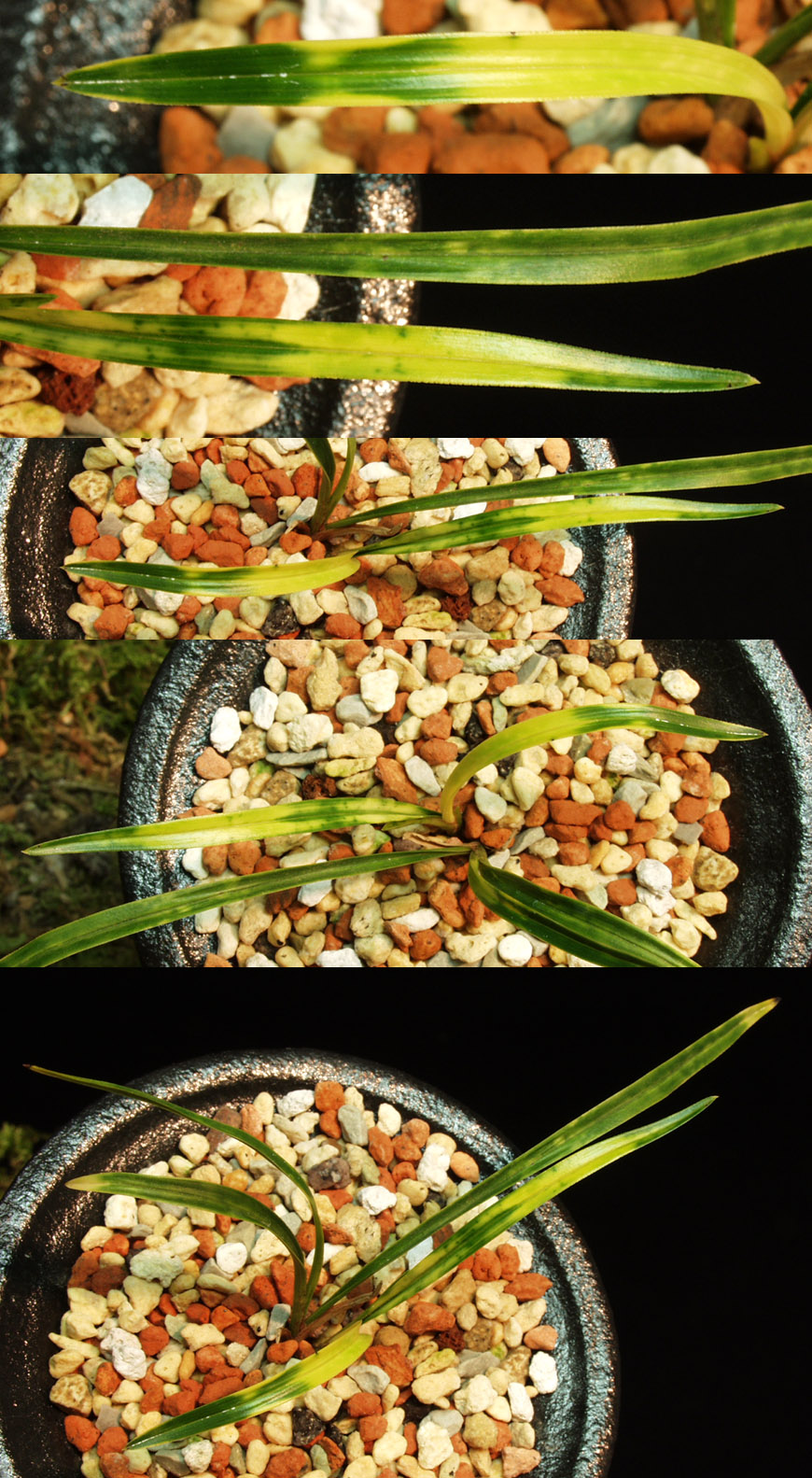 ������ ū������ �� �� �ֽ��ϴ�.