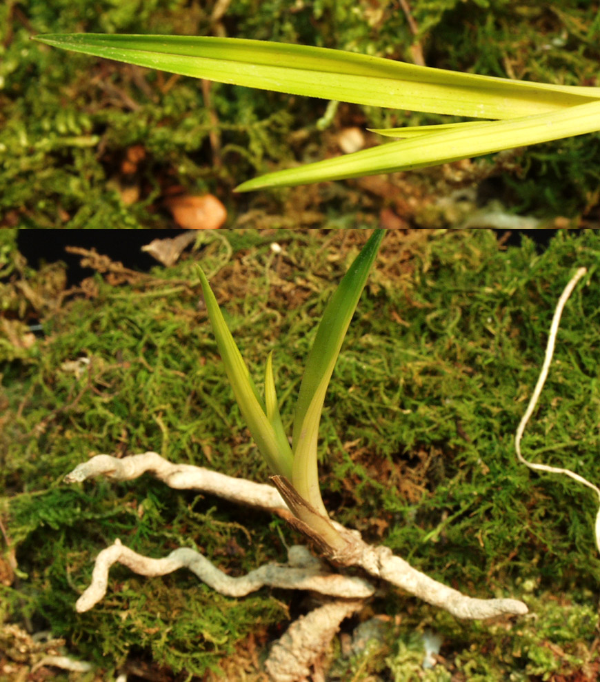 ������ ū������ �� �� �ֽ��ϴ�.