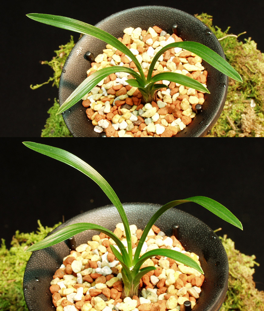 ������ ū������ �� �� �ֽ��ϴ�.