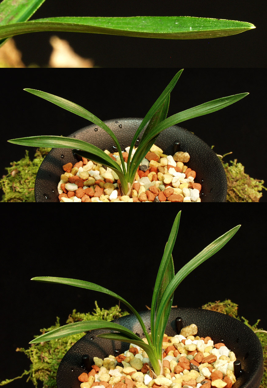 ������ ū������ �� �� �ֽ��ϴ�.