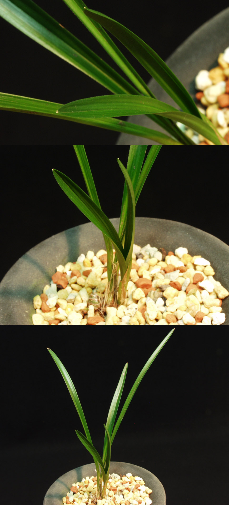 ������ ū������ �� �� �ֽ��ϴ�.