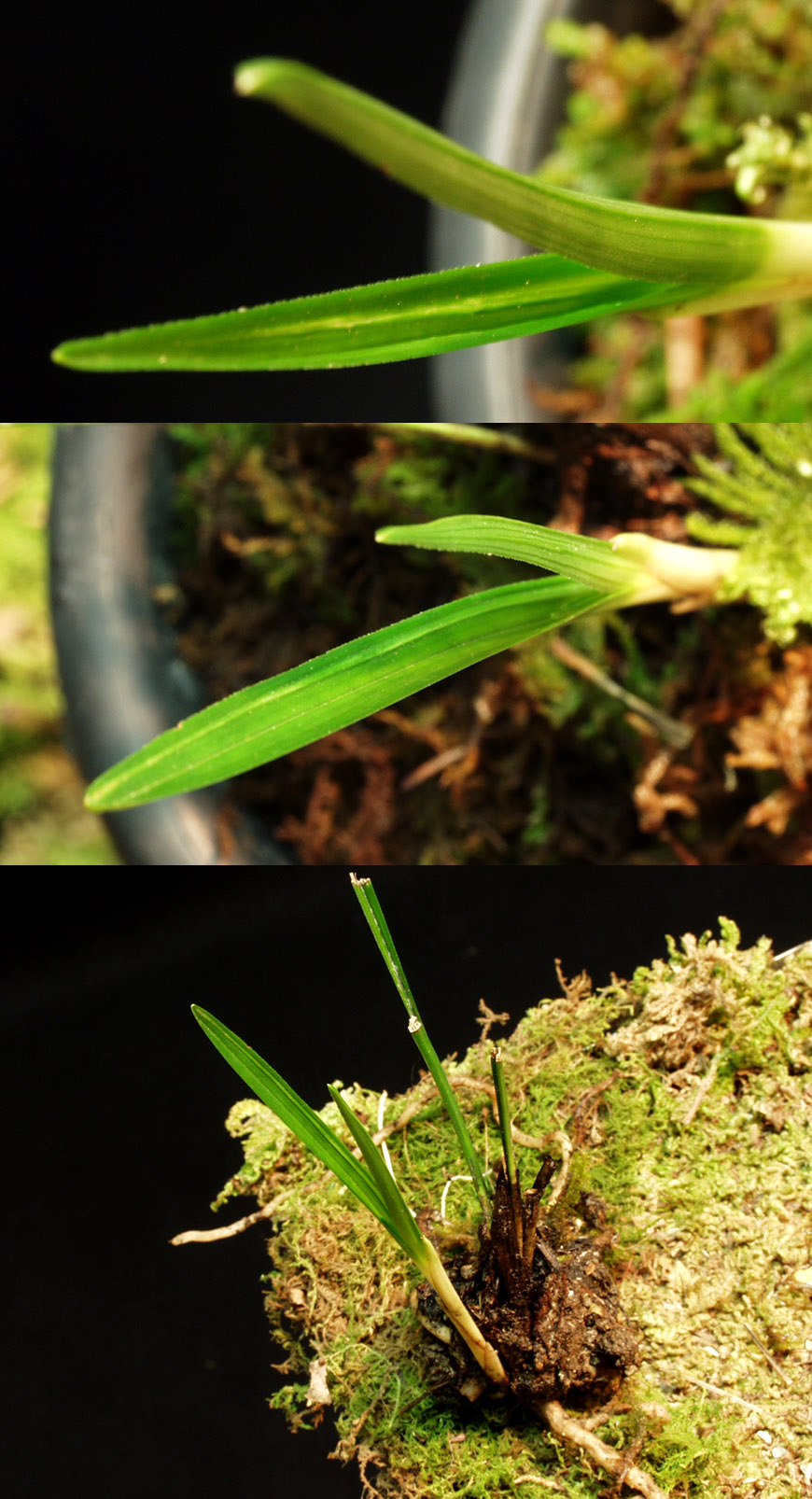 ������ ū������ �� �� �ֽ��ϴ�.