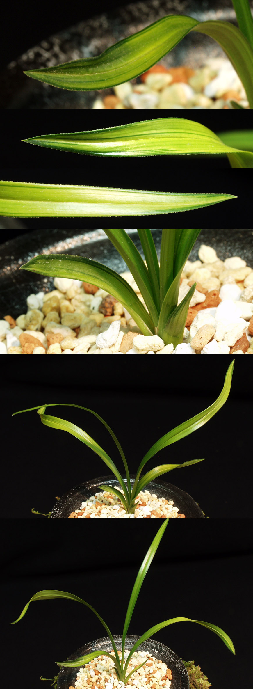 ������ ū������ �� �� �ֽ��ϴ�.