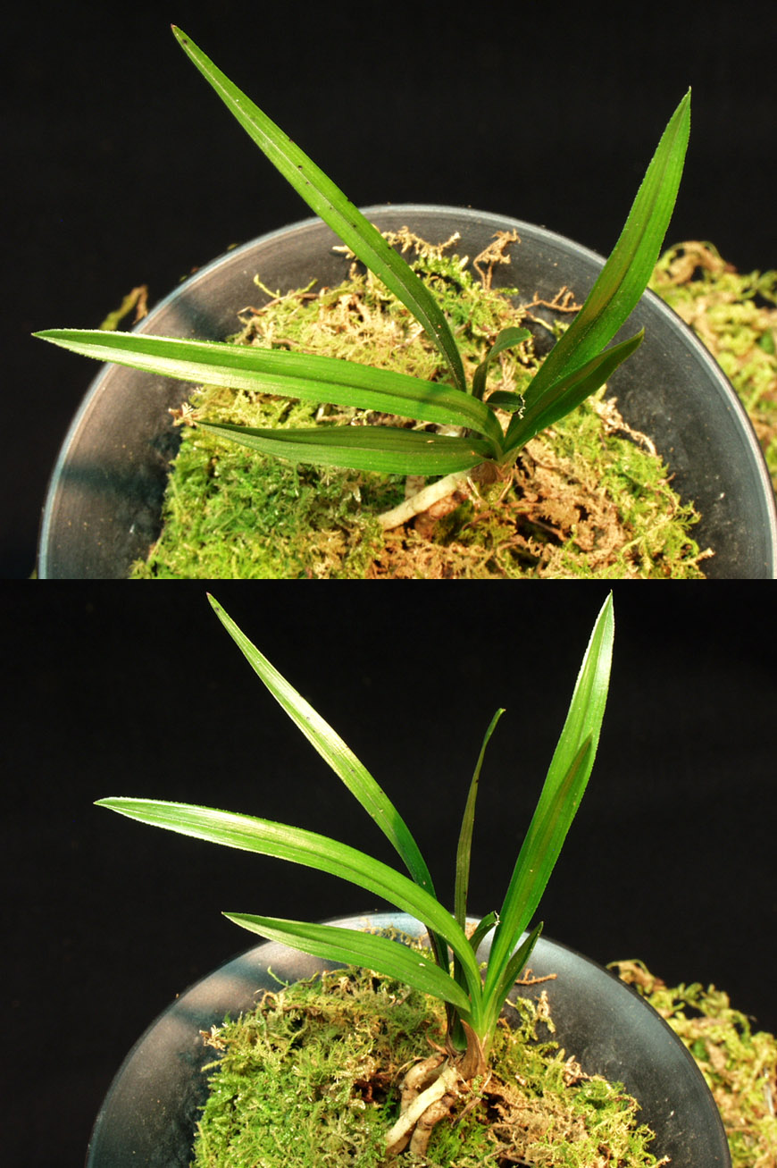 ������ ū������ �� �� �ֽ��ϴ�.