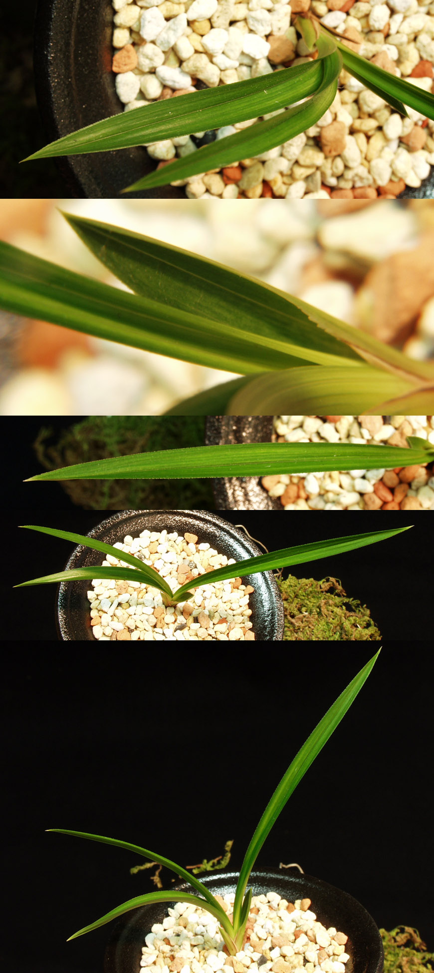 ������ ū������ �� �� �ֽ��ϴ�.