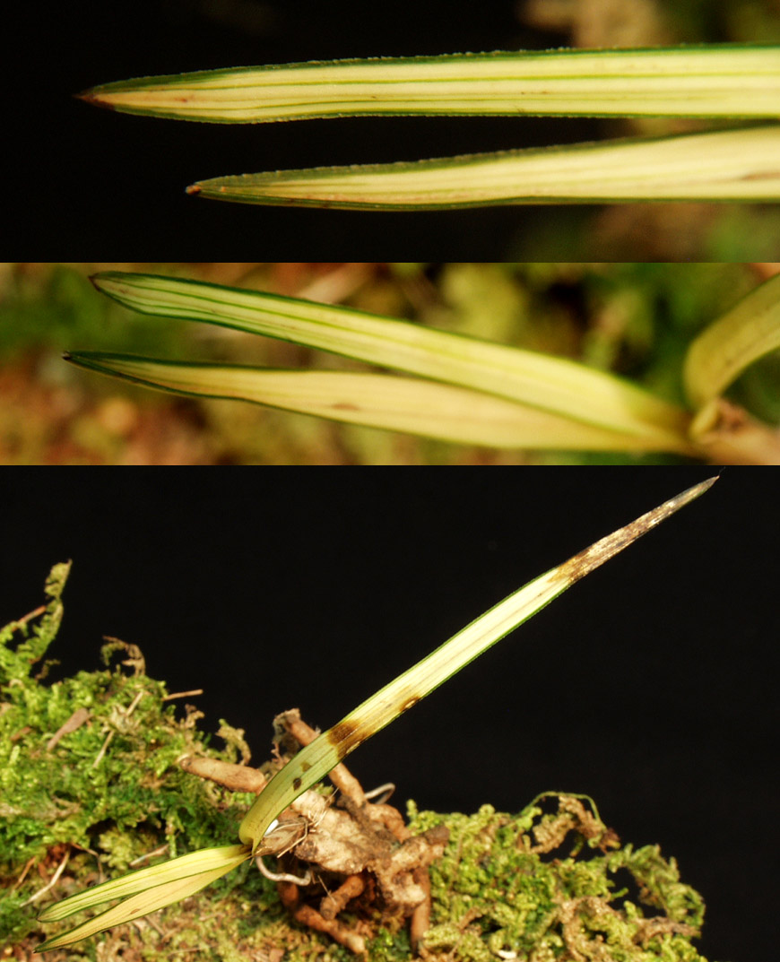 ������ ū������ �� �� �ֽ��ϴ�.