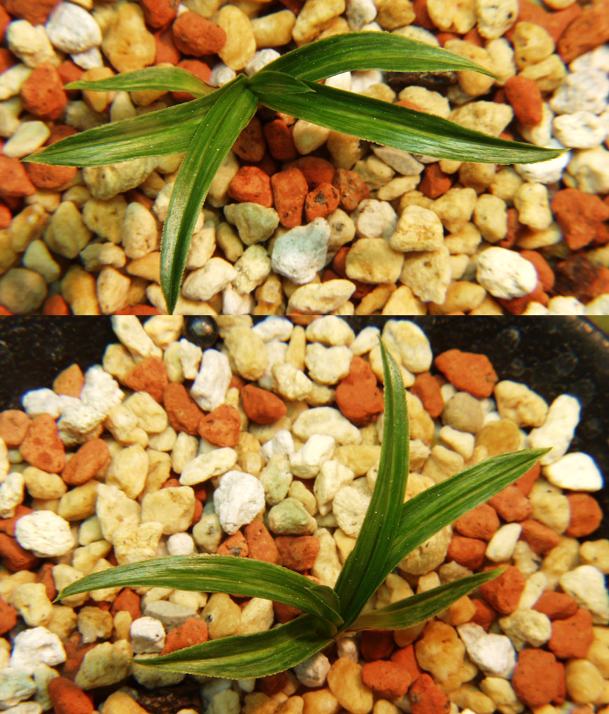 ������ ū������ �� �� �ֽ��ϴ�.