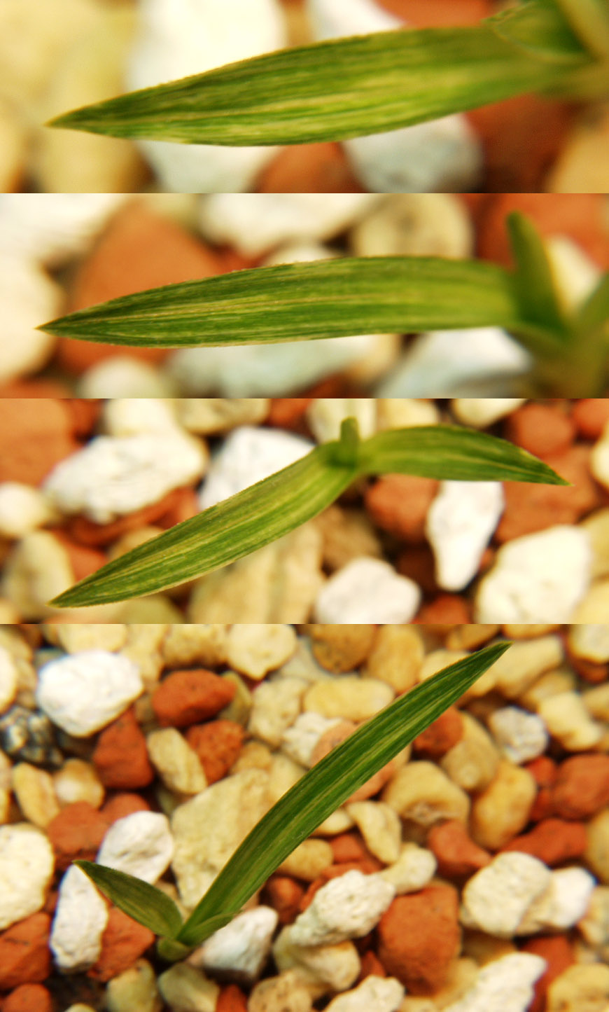 ������ ū������ �� �� �ֽ��ϴ�.