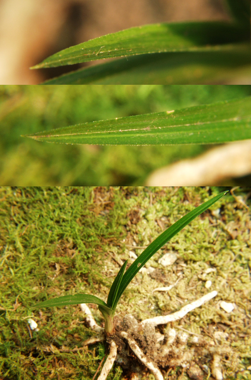 ������ ū������ �� �� �ֽ��ϴ�.