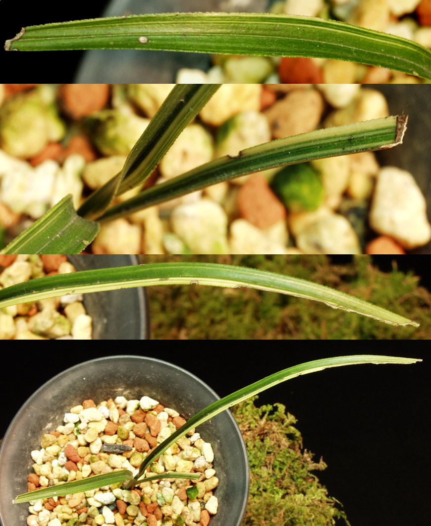 ������ ū������ �� �� �ֽ��ϴ�.