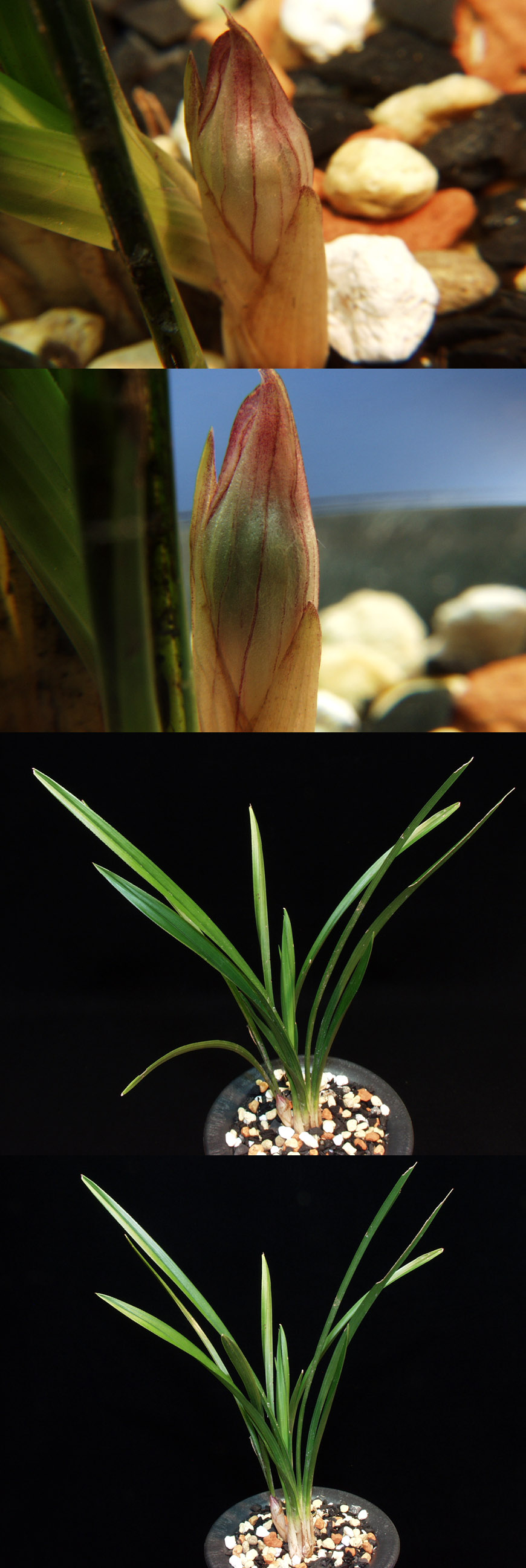 ������ ū������ �� �� �ֽ��ϴ�.