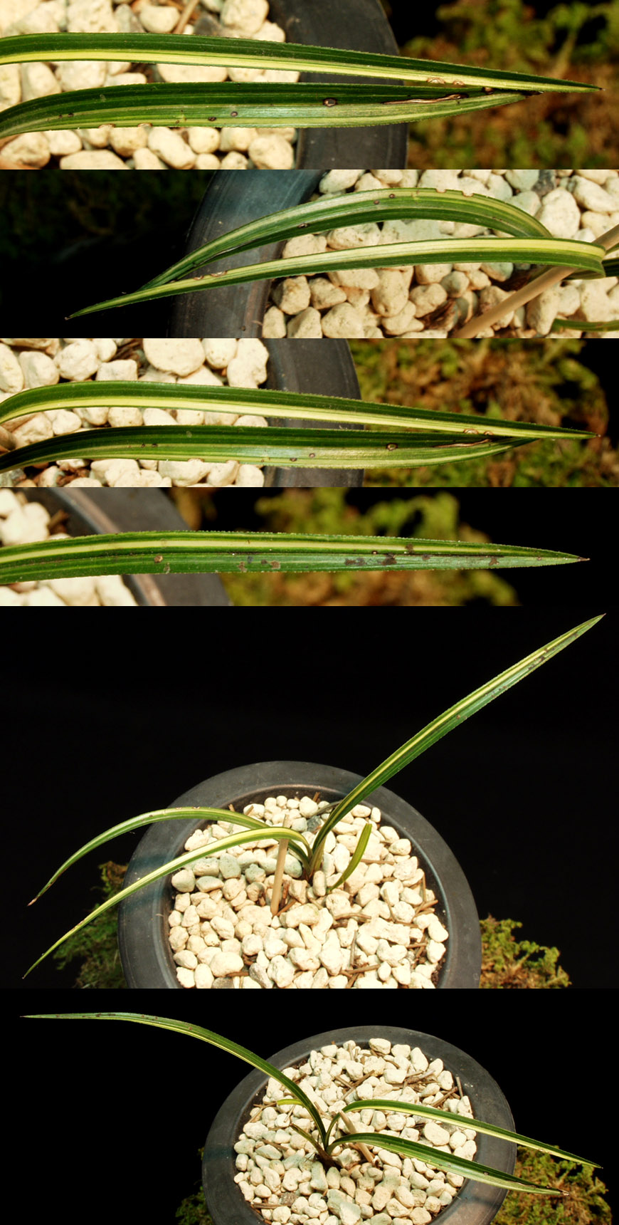 ������ ū������ �� �� �ֽ��ϴ�.