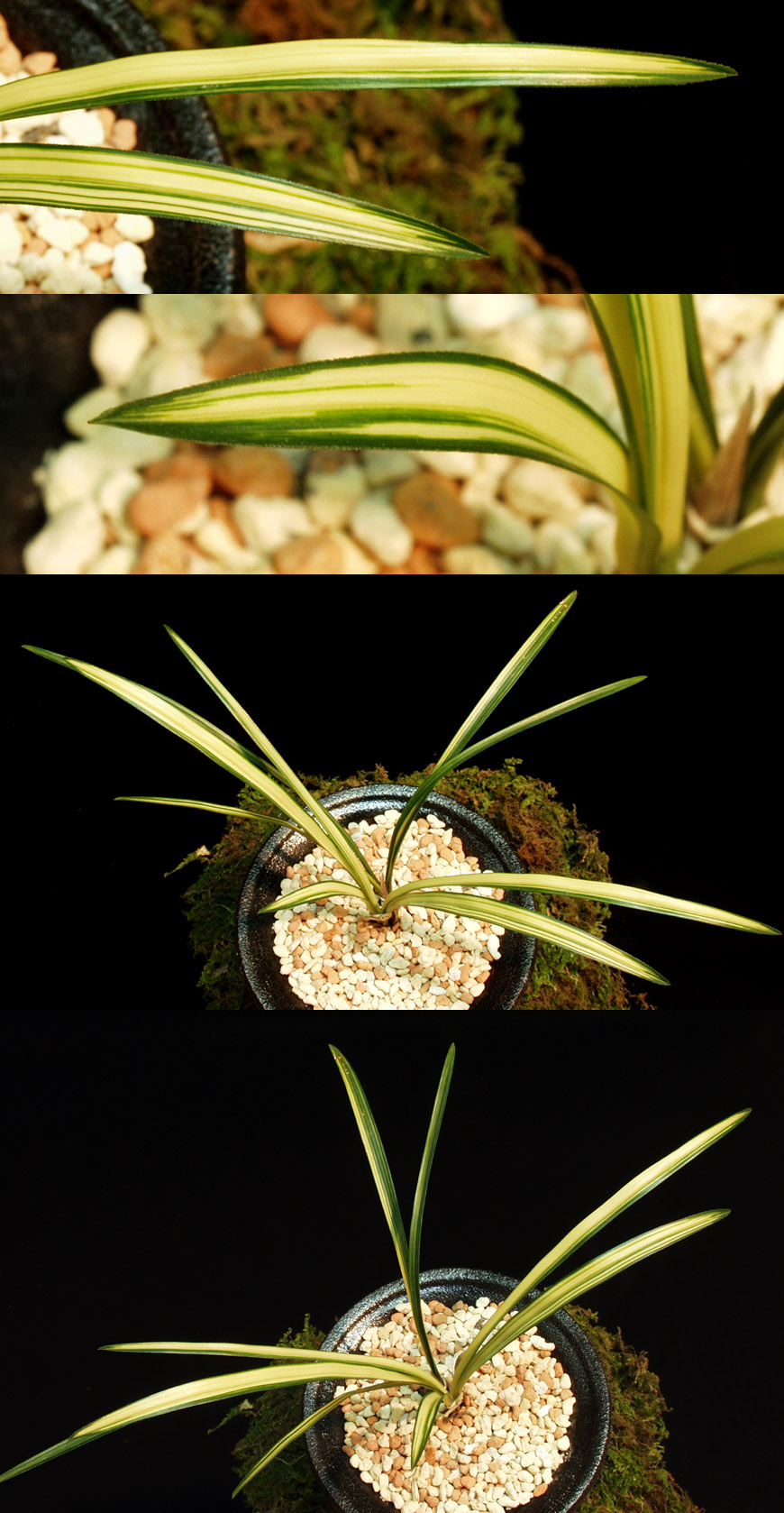 ������ ū������ �� �� �ֽ��ϴ�.