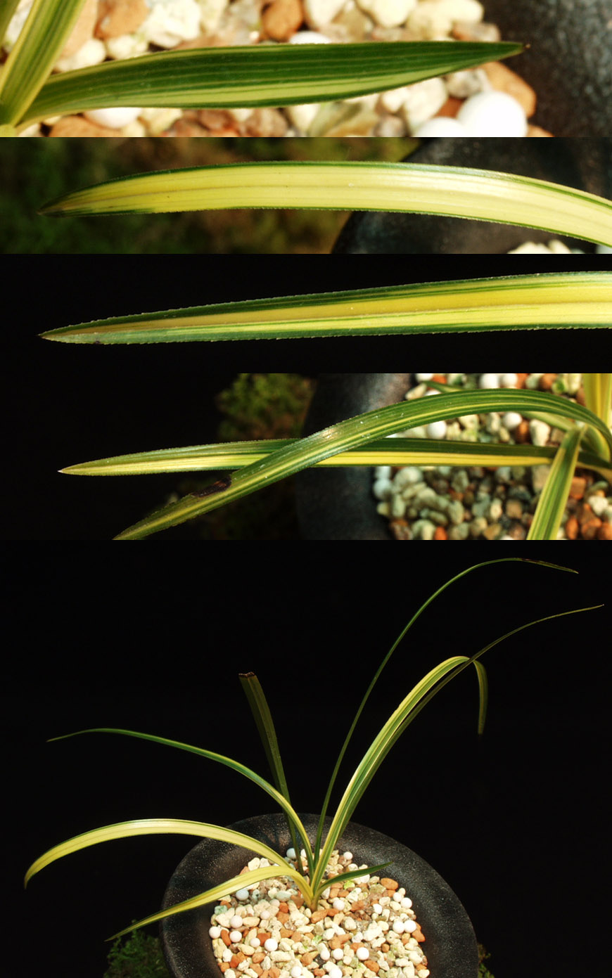 ������ ū������ �� �� �ֽ��ϴ�.